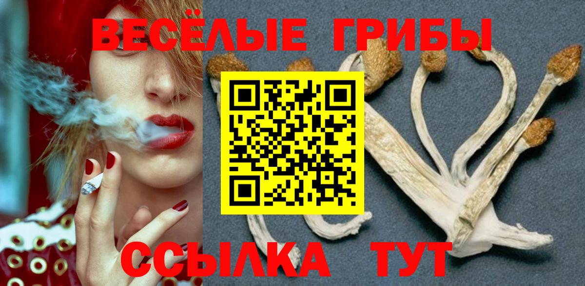 Псилоцибиновые грибы Cubensis Кострома