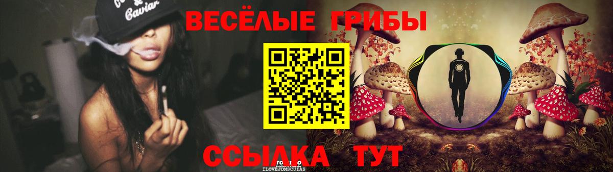 Кострома  Галлюциногенные грибы Psilocybe  Вход с VPN 