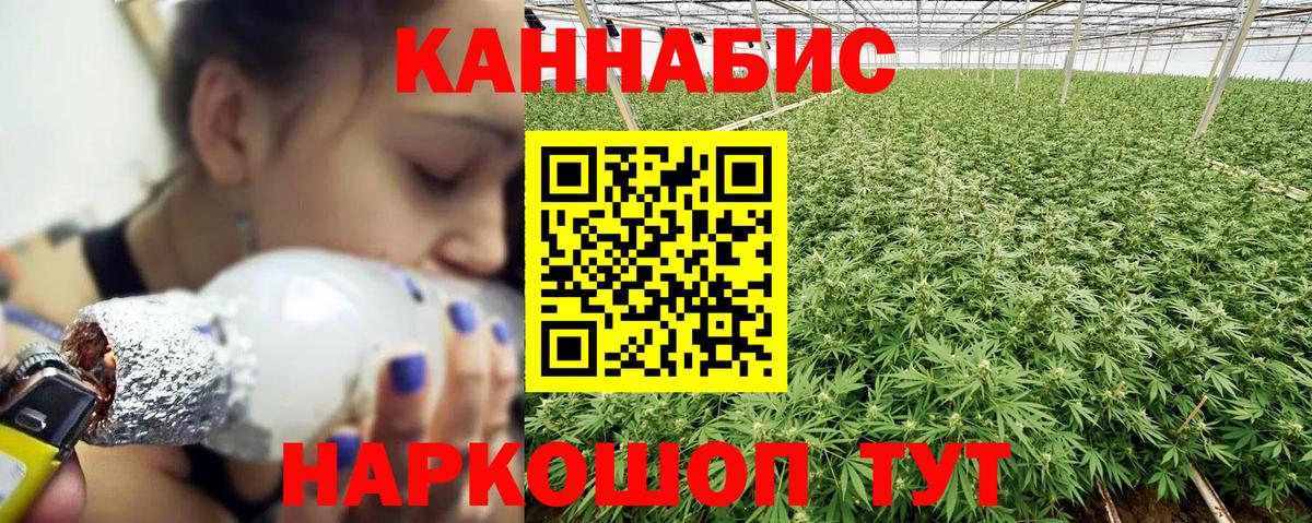 Бошки Шишки семена  Вход с VPN  Кострома  Шишки марихуана OG Kush  Марихуана планчик 